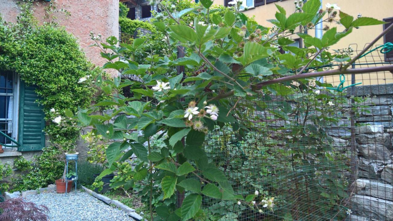 Carate Urio B&B "A Casa Di Camilla" מראה חיצוני תמונה